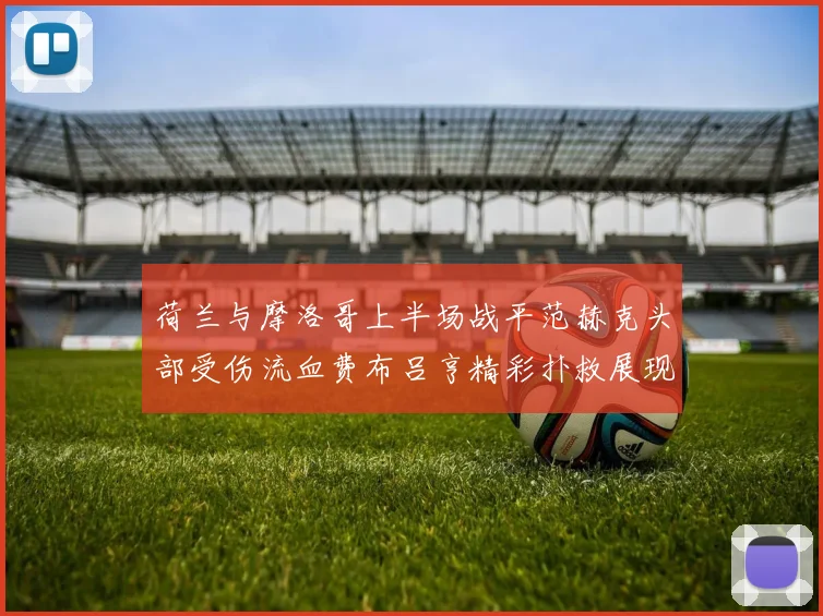 荷兰与摩洛哥上半场战平范赫克头部受伤流血费布吕亨精彩扑救展现实力