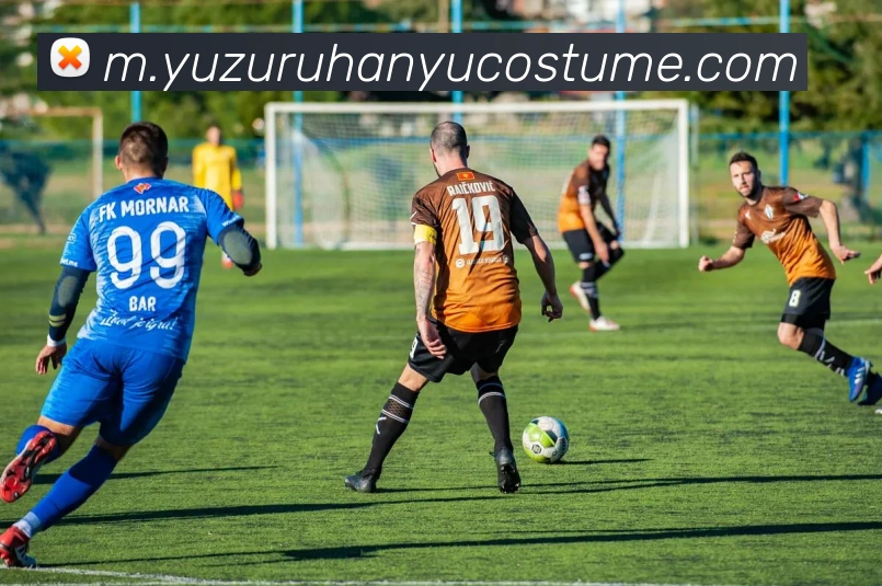 奖项证书
